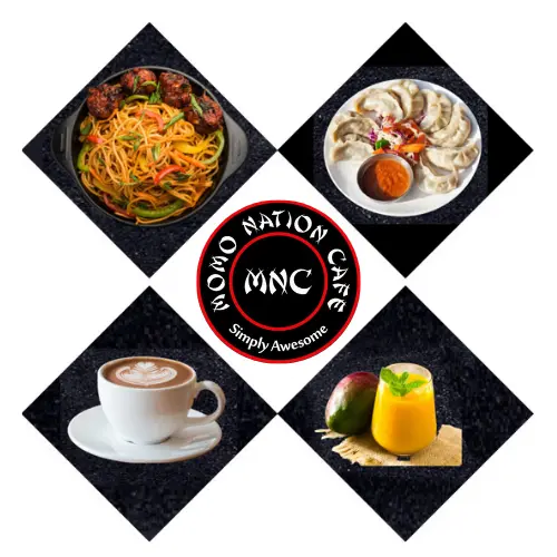 Afghani Momos and Crispy Momos at Momo Nation Cafe Khagaul Patna